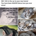 Amun, Mau, Silver, Male, DOB 7-2-18