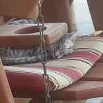 Mieze Silver, Egyptian Mau, Male DOB 11-11-15