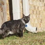 26233901_2027365967280442_114693196_n