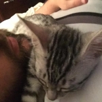 367b817d-f488-40e2-9a1f-6013a4925333