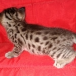 IMG_20200213_163939737