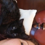 Orion, Savannah, F-2B, Black Smoke, Male, DOB 10-18-17