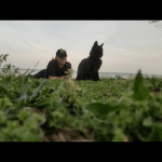 Orion, Savannah, F-2B, Black Smoke, Male, DOB 10-18-17