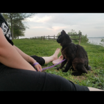 Orion, Savannah, F-2B, Black Smoke, Male, DOB 10-18-17