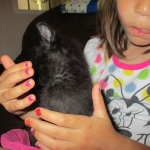 Anubis, Savannah, F-2B, Black on Black, Male DOB 3-24-17