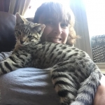 Marley, Savannah, F-2B, Brown (black) Spotted, Male, DOB 12-22-16