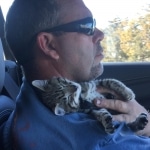 Marley, Savannah, F-2B, Brown (black) Spotted, Male, DOB 12-22-16