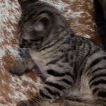 IMG_20190818_094636352