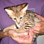 IMG_20190731_103121510