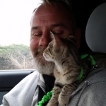 Nala, Savannah, F-2B, Female, Brown Spotted, DOB 1-2-16