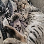 20210519_165200-Copy