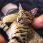 325b082b-a820-4113-bbc8-4ba545c22b3e