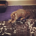 78852543-07c4-4c3f-a00f-fcbdb9fba04c