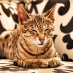 af7b830d-c2da-40c7-bc45-87f076f94333