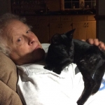 Zola, Savannah, F-3C, Female, Black on Black DOB 2-15-16