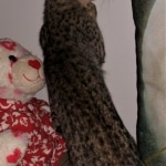 Savannah, F-3C, female, BST, DOB 5/2/19