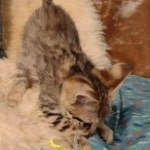 IMG_20230623_112503629