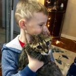 Baby Son, Savannah, F-3C, Brown Spotted Male, DOB 9-26-18