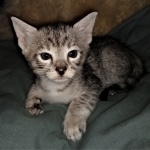 IMG_20200425_161731125