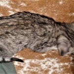 IMG_20200425_162001890