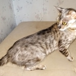 IMG_20200615_154938021