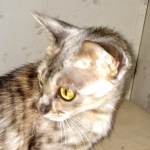 IMG_20200615_154941631