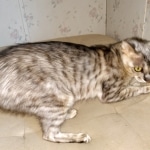 IMG_20200615_154952597