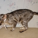 IMG_20200615_155016778