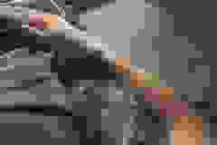 Apollo Savannah F-3C Male #3 DOB 10-21-23