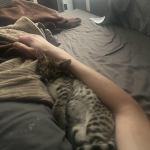 happy in his new home