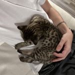 happy in his new home