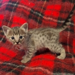 original_27f43d3b-bfa7-46a6-9fcb-62393453a031_IMG_20211203_110629087