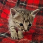 original_35703cda-f9ee-401e-81d1-cc3cfd52d48b_IMG_20211203_110635584