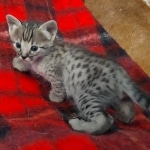 original_476721d0-799f-45ed-b195-53edf06f9913_IMG_20211203_110647812