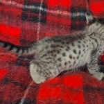 original_c3d3b99f-86f1-46b9-94a3-b2cc2eed6ace_IMG_20211203_110639770