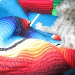 Savannah, F-3C Silver female DOB 9-15-18 fluffy