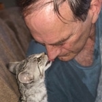 King Solomon, Savannah, F-3C Male Silver, dob 4-13-18