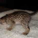 IMG_20200312_142000179