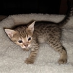 IMG_20200312_142006587