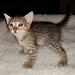 IMG_20200312_142008875