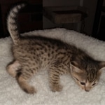 IMG_20200312_142024460