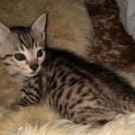 IMG_20200508_095338524