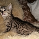 IMG_20200508_095351145