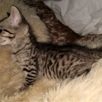 IMG_20200508_095357198