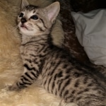 IMG_20200508_095411965