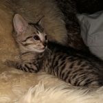 IMG_20200508_095423718