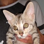 IMG_20200212_103643178