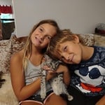 Silver spotted F-4SBT Savannah female