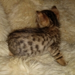 original_70bfc072-0ea4-4d4a-8b4a-5459568648fe_IMG_20210514_124424788