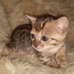 original_a6d9abb5-4801-487c-9b5b-a9835c76f78a_IMG_20210514_124432086